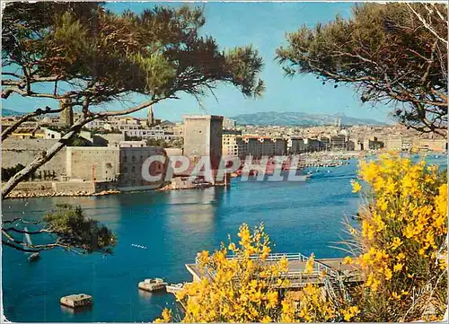 Cartes postales moderne Marseille (Bouches du Rhone) Couleurs et Lumiere de France l'Entree du Vieux Port et le Fort Sai