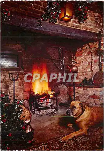 Cartes postales moderne Foyer Chien Bouledogue