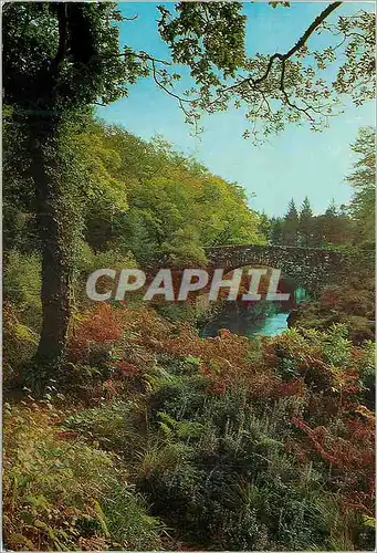 Cartes postales moderne Pont Foret