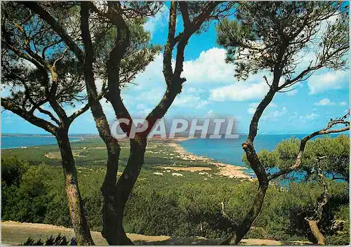 Cartes postales moderne El Mirador Formentera (Baleares)