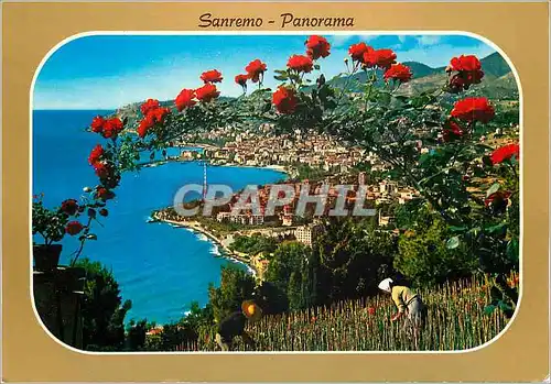 Cartes postales moderne Sanremo Riviera dei Fiori Panorama du Levante Panorama du Levant