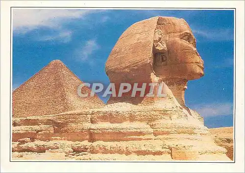 Cartes postales moderne le Sphinx de Gizeh Veille sur la Grande Pyramide de Kheops Lion Androcephale Colossal