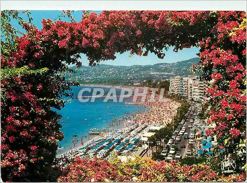 Moderne Karte Juan les Pins la Cote d'Azur l'Avenue Guillaumont et la Plage