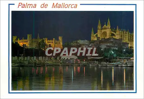 Cartes postales moderne Mallorca (Baleares) Espana Palma Vista Nocturna de la Lonja y la Catedral