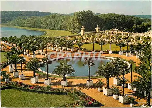 Cartes postales moderne Versailles le Parc l'Orangerie