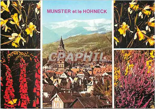Moderne Karte Munster et Au pied du Massif du Hohneck (Altitude 1361 m) Images de France La Ville alsacienne d