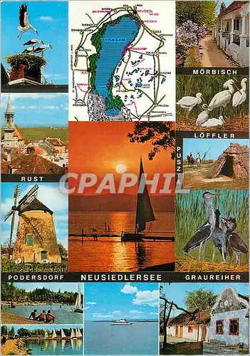 Cartes postales moderne Burgenland Neusiedlersee 115 m Einziger Cigognes Moulin a vent
