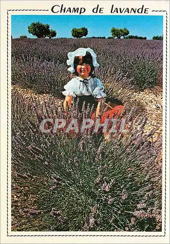 Moderne Karte Provence Jeune Provencale au Milieu des Lavandes Folklore Enfant