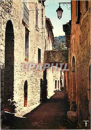 Cartes postales moderne Languedoc Saint Guilhem le Desert Une des Rues du Village