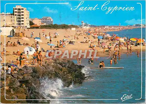 Cartes postales moderne Saint Cyprien Plage (Pyrenees Orientales) La Cote Vermeille La plage