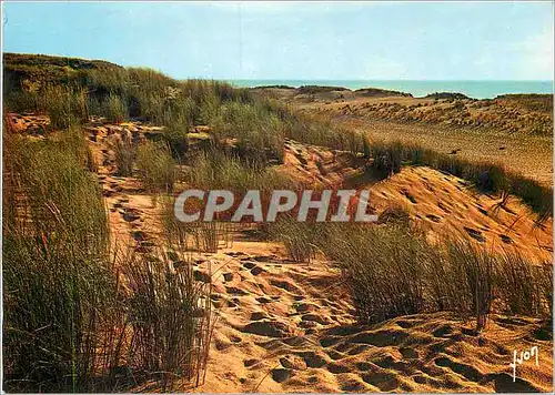 Moderne Karte Les Dunes pres de la Mer Couleurs et Lumiere de France