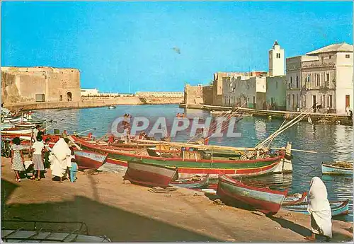 Cartes postales moderne Bizerte Le Vieux Port Bateaux