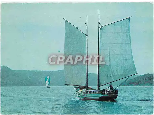 Cartes postales moderne Jonque Bateau