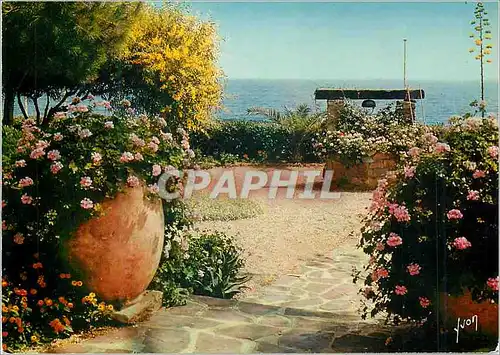 Cartes postales moderne La Cote d'Azur Couleurs et Lumiere de France Miracle de la Nature Jardin Fleuri