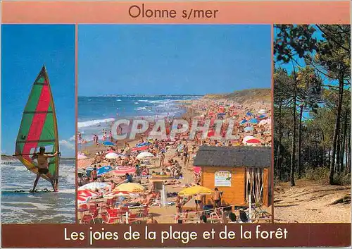 Cartes postales moderne Olonne sur Mer La Vendee Touristique La Plage Planche a voile