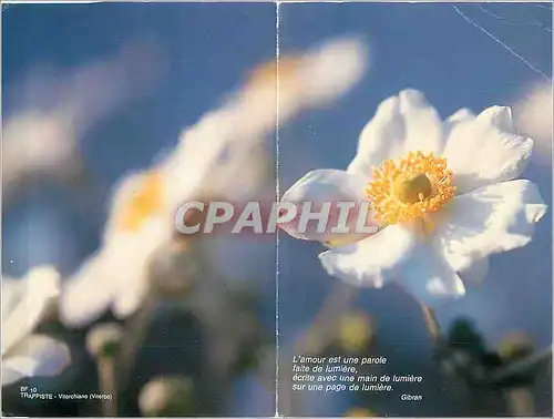 Cartes postales moderne L'Amour est une Parole faite de Lumiere ecrite avec une main de Lumiere sur une Page de Lumiere