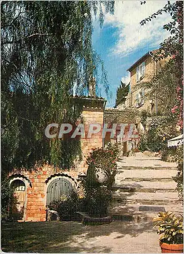 Cartes postales moderne Lumiere et Beaute de la Cote d'Azur Ruelle Pittoresque de la Provence Fleurie