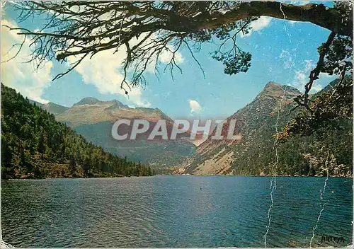 Cartes postales moderne Lac d'Oredon Hautes Pyrenees