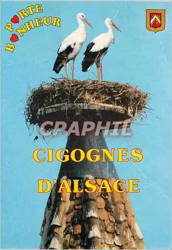 Moderne Karte Souvenir d'Alsace les Cigognes