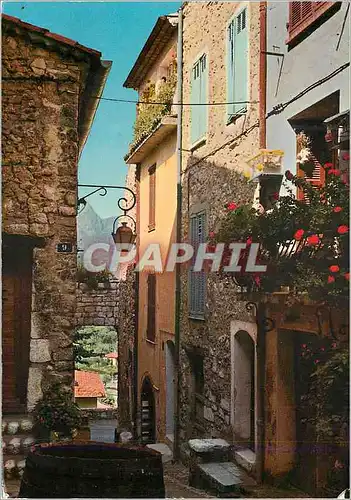Cartes postales moderne Vence la Jolie l'Arriere Pays Mediterraneen une Vieille Rue Pittoresque
