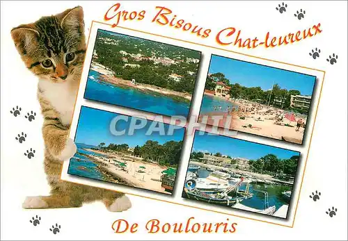 Cartes postales moderne Boulouris (Var) France la Cote d'Azur Plages de la Peguliere et de la Tortue Chat Chaton