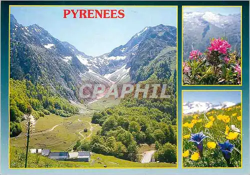 Cartes postales moderne Pyrenees Centrales l'Hospice de France