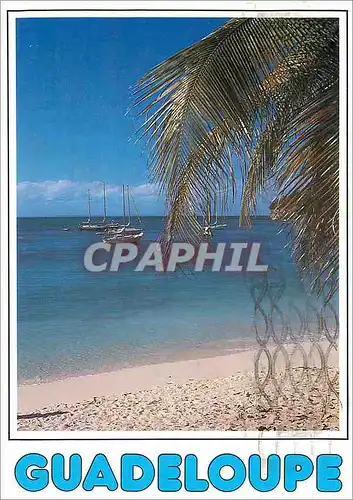 Cartes postales moderne Guadeloupe Il etait une fois la Guadeloupe Marie Galante et ses Plages