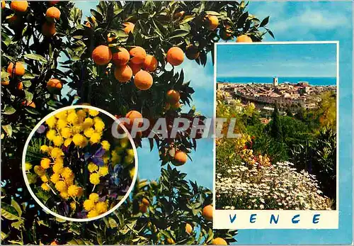 Cartes postales moderne Vence (A M) Cite des Peintres