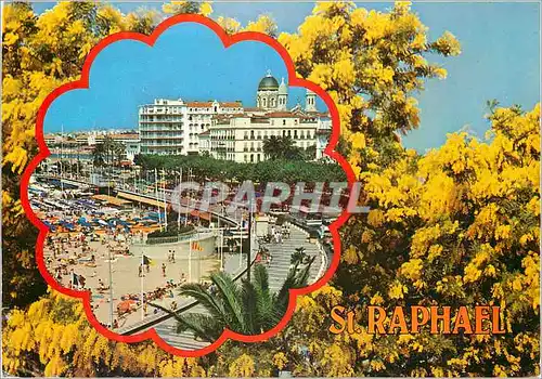 Cartes postales moderne St Raphael Souvenir de la Cote d'Azur