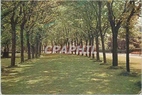 Moderne Karte Grimsby Peoples Park Grove