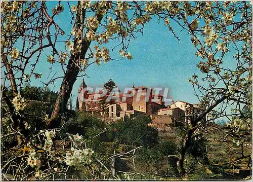 Cartes postales moderne Mallorca la Cartuja