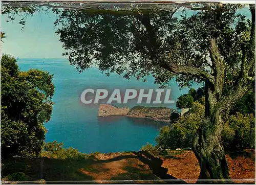 Cartes postales moderne Mallorca Valldemossa Na Foradada