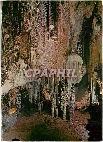 Cartes postales moderne Mallorca Cueva de Arta Salon des Drapeaux