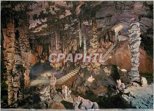Cartes postales moderne Mallorca Cueva de Arta Entree de la Grotte