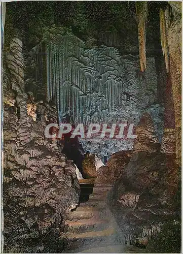 Cartes postales moderne Mallorca L'orgue Cueva de Arta