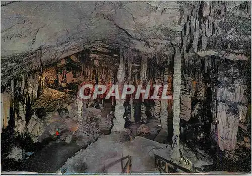 Cartes postales moderne Mallorca Vestibule Cueva de Arta