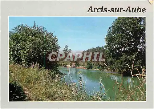 Cartes postales moderne Arcis sur Aube (Aube) Bords de l'Aube