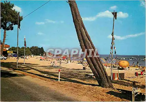 Cartes postales moderne Cazaux la Plage