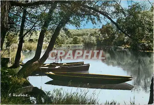 Cartes postales moderne Au Long du Loing (S et M) sur les Eaux Calmes Barques Bateaux