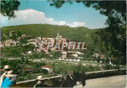 Cartes postales moderne Contes les Pins (A M) Vue Generale