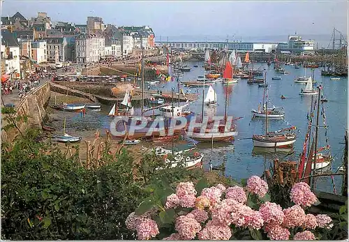 Moderne Karte Douarnenez (Finistere) la Bretagne en Couleurs la Fete des Vieux Greements dans le Port (Aout 19