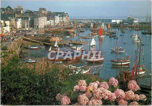 Cartes postales moderne Douarnenez (Finistere) la Bretagne en Couleurs la Fete des Vieux Greements dans le Port (Aout 19