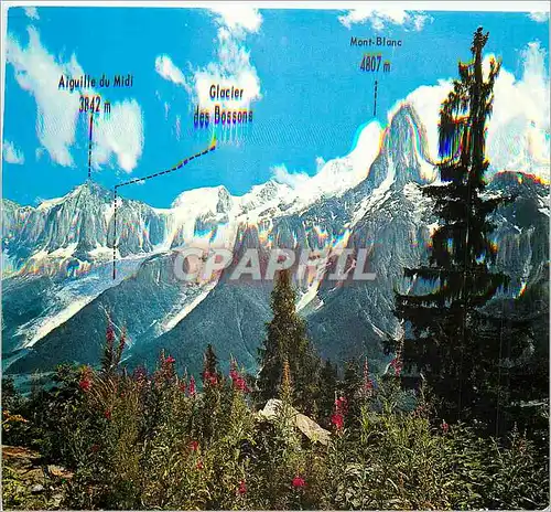 Cartes postales moderne Massif du Mont Blanc Haute Savoie l'Aiguille du Midi (3842m) et le Mont Blanc (4807m) le plusHau
