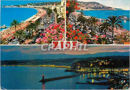 Cartes postales moderne Nice Cote d'Azur French Riviera la Promenade des Anglais la Baie des Anges la Nuit