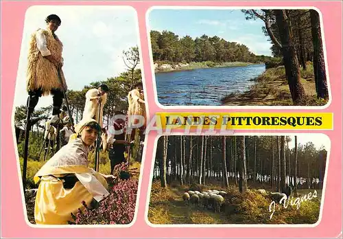 Cartes postales moderne Visage des Landes Folklore Landais Troupeau de Moutons Courant pres de l'Ocean