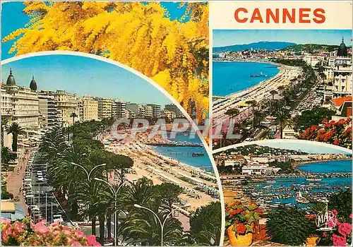 Moderne Karte Souvenir de Cannes La Cote d'Azur