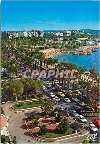Moderne Karte Cannes (A M) La Cote d'Azur La Croisette une partie du Port Pierre Canto et les Immeubles Au Loi