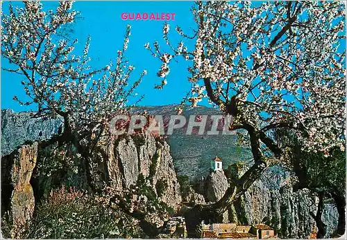 Cartes postales moderne Castell de Guadelest (Alicante) Amandier en fleur