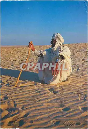 Cartes postales moderne Sahara de Tunisie