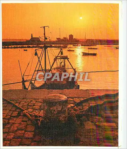 Moderne Karte Cordes amarrage au long du Quai Chapelle Sage un soir d'ete Silviane le Menn